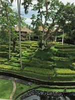 K様／バリ島ひとり旅 ☆ ５日間